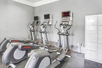 On20 | Gainesville, FL