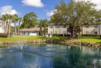 Immerse yourself in a peaceful oasis with soothing waters and verdant surroundings.