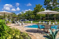Our sundeck offers diverse seating options, including a pergola, umbrella-covered tables, and sun loungers—choose your comfort. 