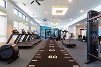 Theory Gainesville-03