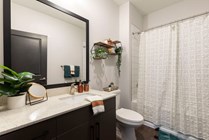 Theory Gainesville-19